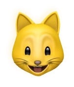 CatCredit