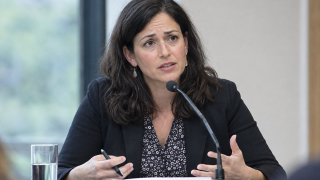 Елла Лібанова попереджає про можливу чоловічу хвилю міграції після війни